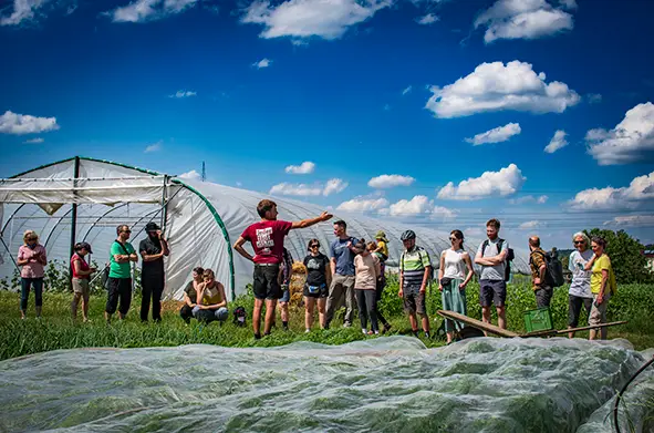 Der Gärtner gibt eine Führung durchs Beet / The gardener gives a tour of the flowerbed.