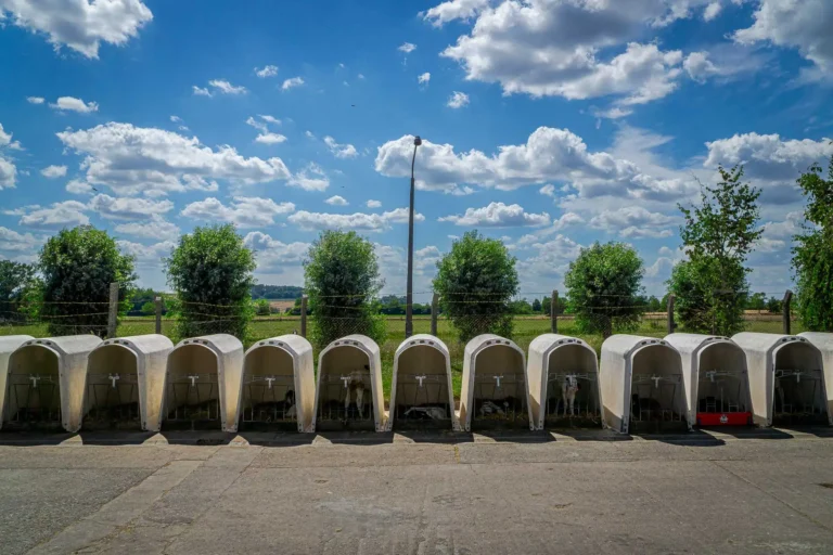 20220730-_DSC8806-HDR