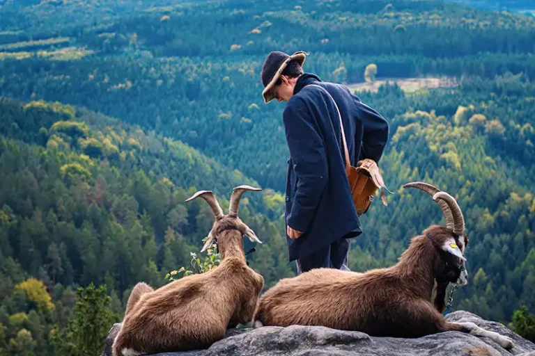 _DSC7190-Verbessert-RR